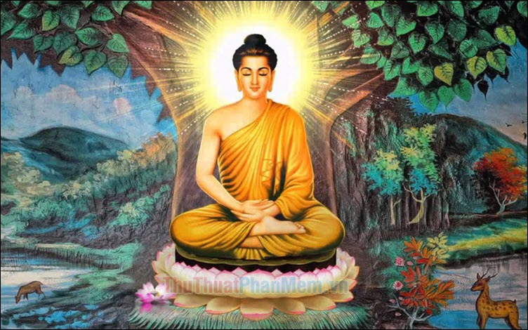 Đức Phật Thích Ca Mâu Ni: Cuộc Đời, Hành Trình Giác Ngộ Và Di Sản Vĩ Đại