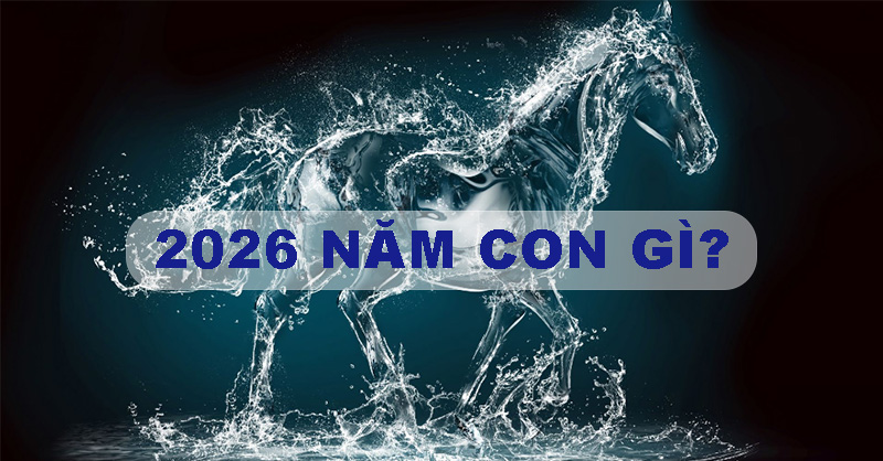 Năm 2026 là năm con gì, mệnh gì, hợp tuổi nào?
