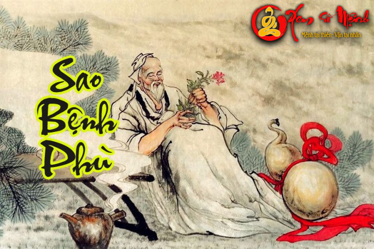 Ý NGHĨA VỀ SAO BỆNH PHÙ TRONG TỬ VI ĐẨU SỐ