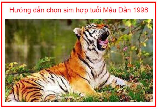 Cách chọn số điện thoại hợp tuổi Mậu Dần 1998 kích công danh, tình duyên