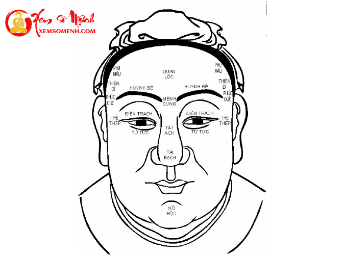 Ý nghĩa 12 cung tướng mặt trong nhân tướng học