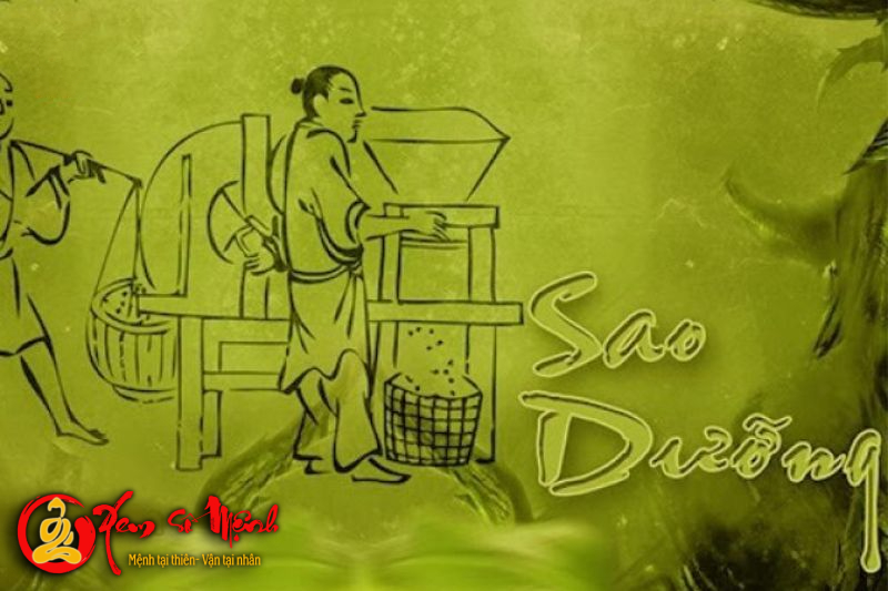 Sao Dưỡng - Ý Nghĩa tại Mệnh và các cung khác trong tử vi