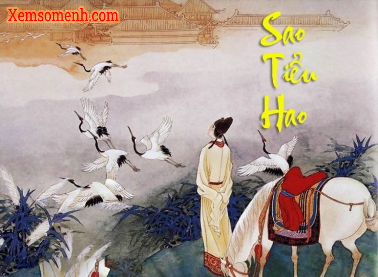 Sao Tiểu Hao - Ý nghĩa ở Mệnh và các cung khác trong tử vi