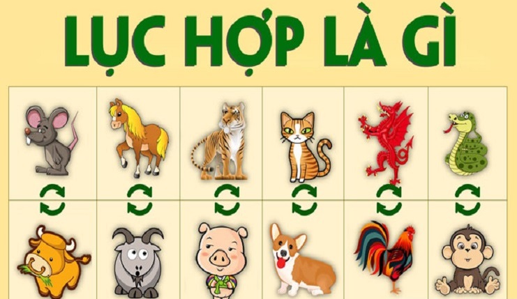 Lục Hợp là gì ? Ý nghĩa của Lục Hợp trong tử vi