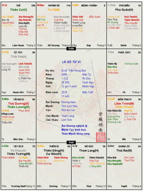 la-so-tu-vi-cua-nguoi-noi-tieng