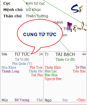 la-so-tu-vi-hiem-muon-con