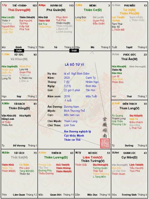 la-so-khong-ket-hon-ngo-dinh-diem