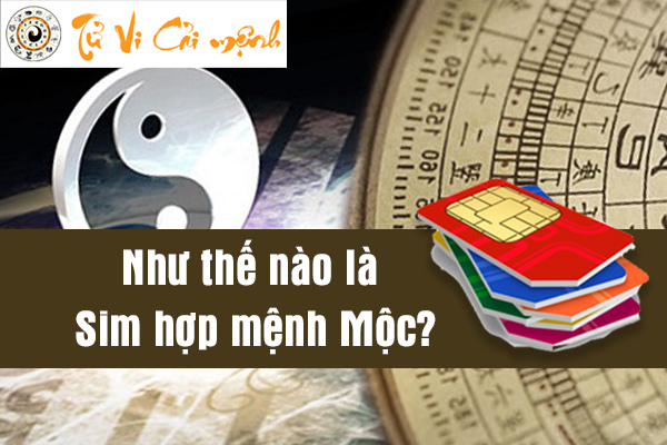 sim-phong-thuy-hop-menh-moc