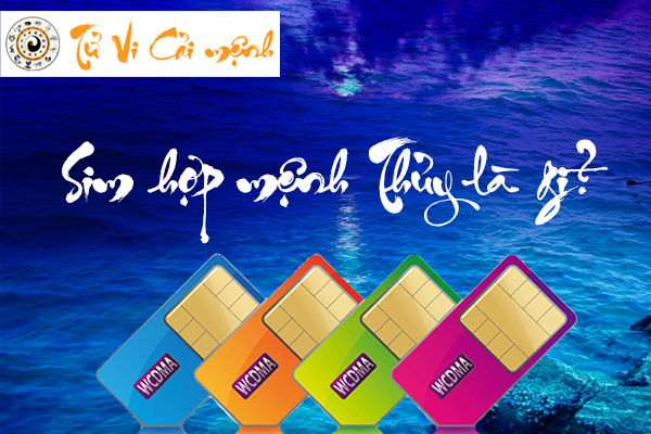 sim-phong-thuy-hop-menh-thuy