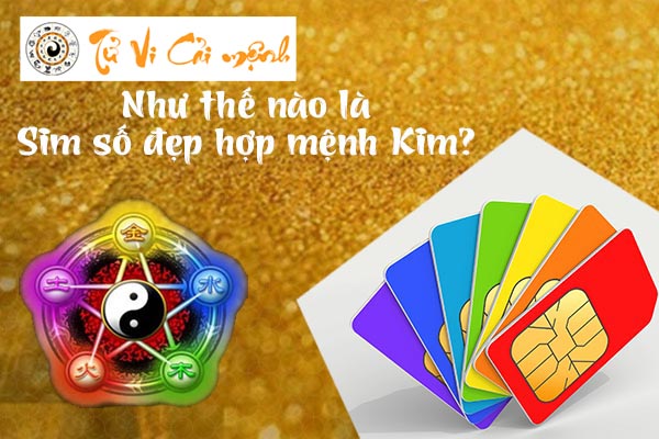 sim-so-dep-hop-menh-kim
