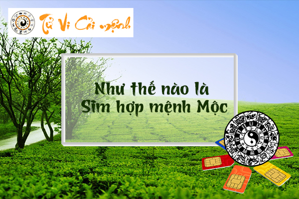 sim-so-dep-hop-menh-moc
