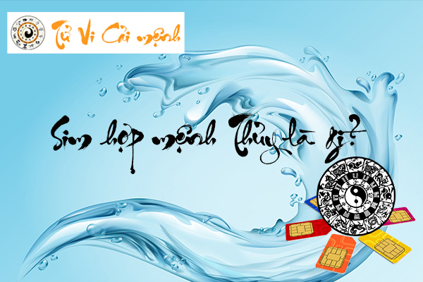 sim-so-dep-hop-menh-thuy