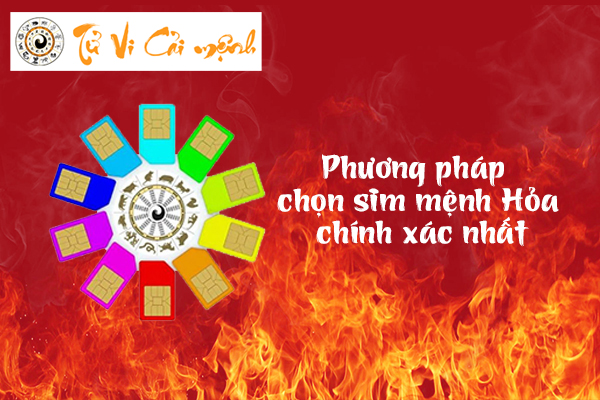 sim-so-dep-hop-menh-hoa