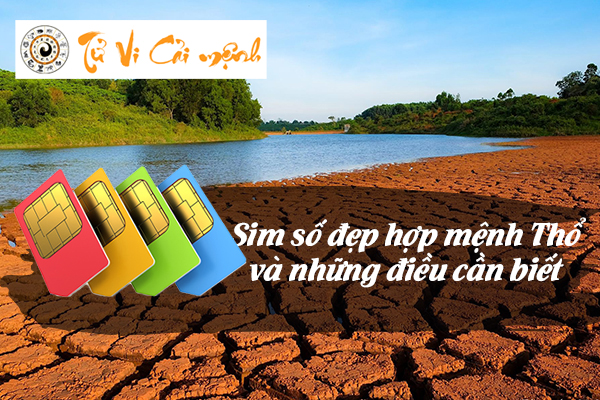 sim-so-dep-hop-menh-tho