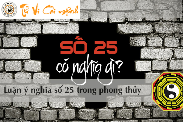 y-nghia-so-25