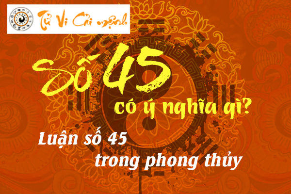 y-nghia-so-45