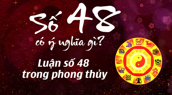 y-nghia-so-48