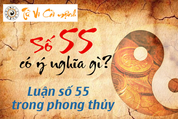 y-nghia-so-55