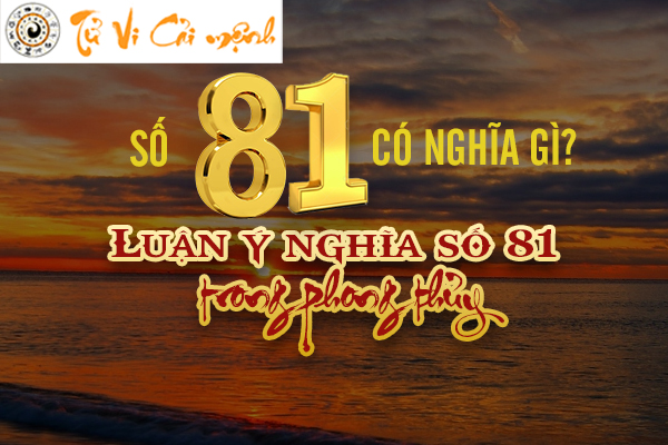 y-nghia-so-81
