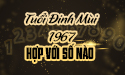 Xem người tuổi Đinh Mùi 1967 hợp với số mấy và phương pháp lựa chọn?
