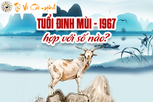 1967-sohop-tuoi-dinh-mui