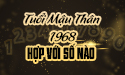 Tuổi Mậu Thân 1968 hợp với số nào và phương pháp lựa chọn