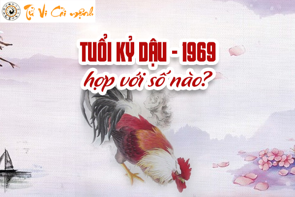 1969-so-hop-tuoi-ky-dau