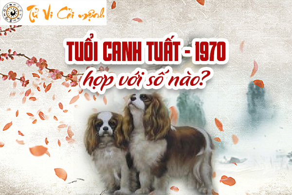 Sinh năm 1970 hợp số nào và cách xem số hợp tuổi Canh Tuất