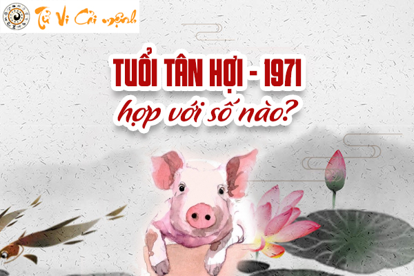 Xem tuổi Tân Hợi 1971 hợp số nào trong phong thủy theo chuyên gia