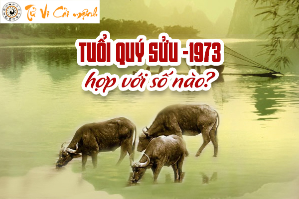 1973-tuoi-quy-suu-hop-voi-so-nao