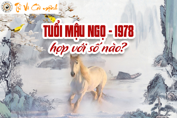 1978-tuoi-mau-ngo-hop-voi-so-nao