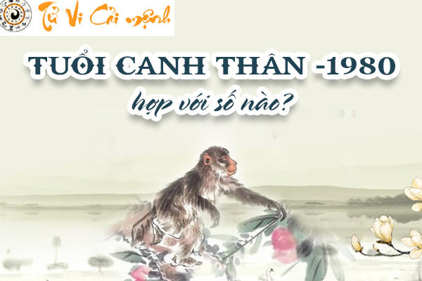 Xem tuổi Canh Thân năm 1980 hợp với số nào chính xác 99%