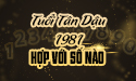 Tuổi Tân Dậu sinh năm 1981 hợp số nào và phương pháp chọn từ chuyên gia