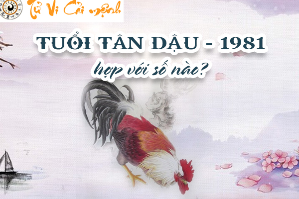 1981-tuoi-tan-dau-hop-voi-so-nao