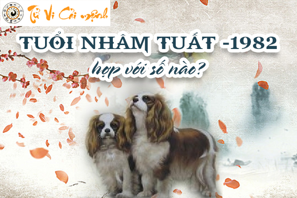 1982-tuoi-nham-tuat-hop-voi-so-nao