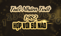 Xem tuổi Nhâm Tuất sinh năm 1982 hợp với số nào để vạn sự hanh thông, may mắn