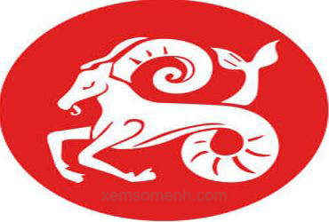 Cung Ma Kết (22/12 - 20/1)