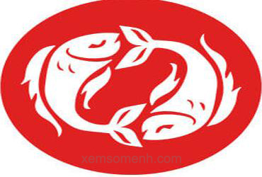 Cung Song Ngư (19/2 - 20/3)