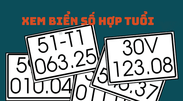 Xem bói biển số xe hợp tuổi