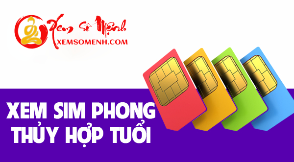 Xem số điện thoại hợp tuổi