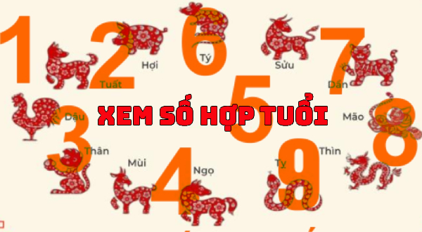 Tuổi của bạn hợp với số nào